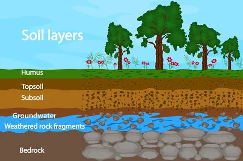 Soil layers. Diagram for layer of soil. Soil layer scheme. Stock Illustration