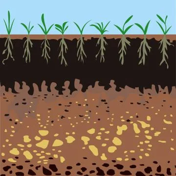 Soil layers with green plants Stock Illustration