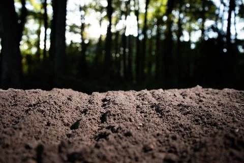 Soil macro frames fertile ground. Brown soil texture covers surface. Topsoi.. Stock Photos