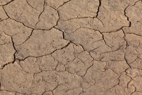 Soil with many cracks in a drought Stock Photos