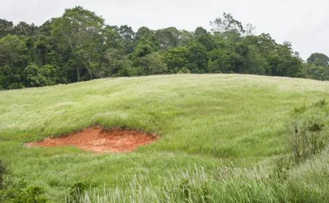 Soil marsh on hill Stock Photos