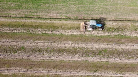Soil milling between rows of a vineyard with tractor Stock-Footage 149157387