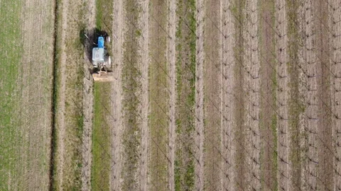 Soil milling between rows of a vineyard with tractor Stock-Footage 149160107