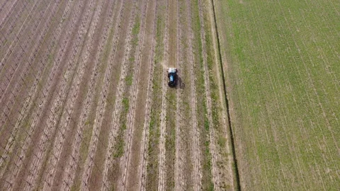 Soil milling between rows of a vineyard with tractor Stock Footage 149160124