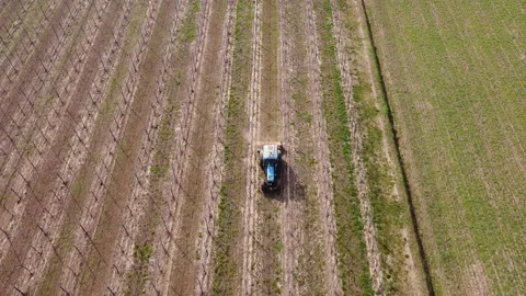 Soil milling between rows of a vineyard with tractor Stock Footage 149178706