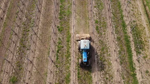 Soil milling between rows of a vineyard with tractor Stock Footage 149182027