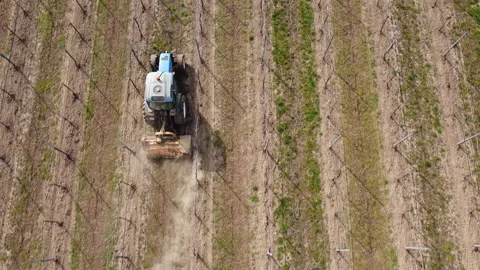 Soil milling between rows of a vineyard with tractor Vídeo Stock 149183604