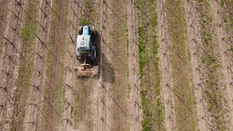 Soil milling between rows of a vineyard with tractor Video stock 149188734