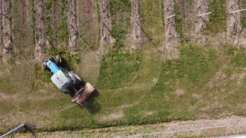 Soil milling between rows of a vineyard with tractor Stock Footage 149189875