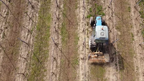 Soil milling between rows of a vineyard with tractor Stock-Footage 149193141