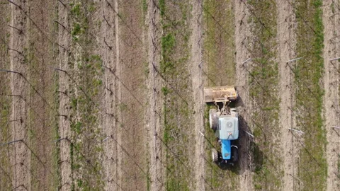 Soil milling between rows of a vineyard with tractor Stock-Footage 149216102