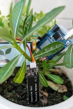 Soil moisture display screen with IoT microcontroller and soil moisture sen.. Stock Photos