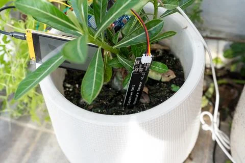 Soil moisture display screen with IoT microcontroller and soil moisture sen.. Stock Photos
