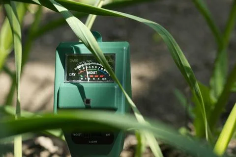 Soil moisture, light intensity and PH testing meter Green plants and three... Stock Photos