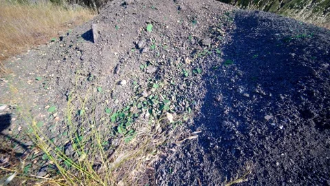 Soil Mound with Emerging Green Sprouts Stock Footage 336172664