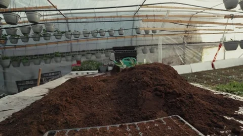 Soil mound gradually reshaped inside greenhouse with hanging planters, gardening Vídeo Stock 332723598