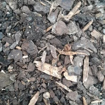 Soil in nature Stock Photos