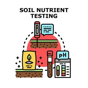 Soil nutrient testing determining healthy plant growth Stock Illustration
