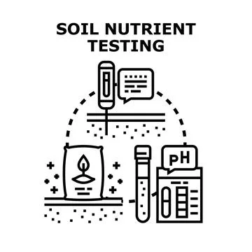 Soil nutrient testing determining healthy plant growth イラスト素材