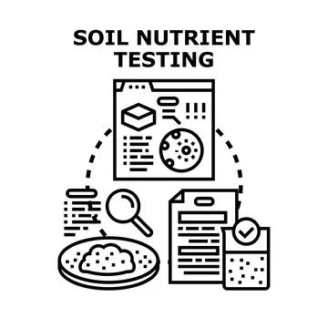 Soil nutrient testing process analyzing earth composition Stock Illustration