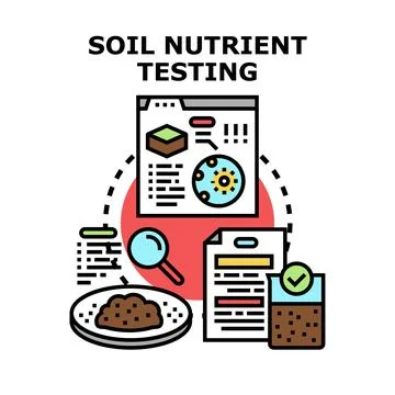 Soil nutrient testing process analyzing earth composition Stock Illustration