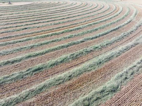 Soil patterns curve like waves in the field Stock Photos