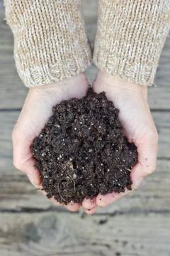 Soil Stock Photos