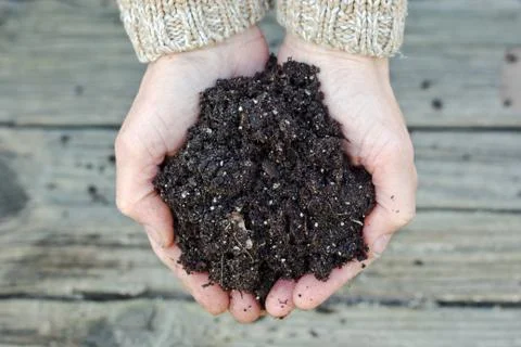 Soil Stock Photos