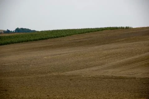 Soil Stock Photos