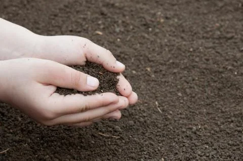Soil Stock Photos