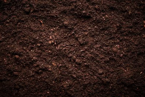 Soil Stock Photos