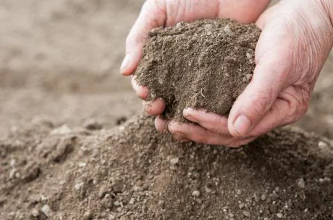 Soil for plants Foto stock