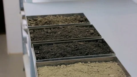 Soil probe. Women's hands put soil samples on the table Vídeo Stock 72305577