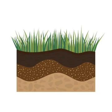 Soil profile with grass Stock Illustration