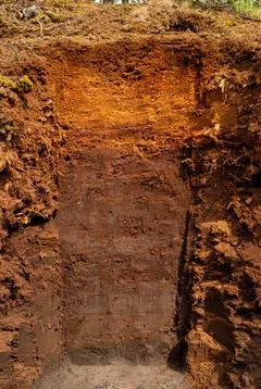 Soil profile of a raised bog Stock Photos