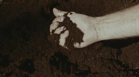 Soil Quality Check CU Video stock 53871918