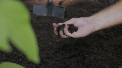 Soil Quality Check Video stock 53869159