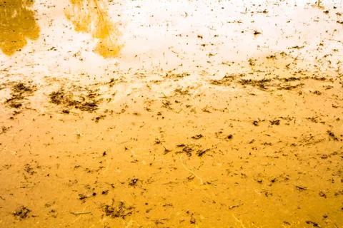 Soil for rice Stock Photos