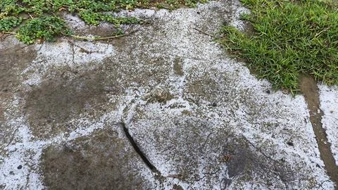 Soil Salinity and Salt Efflorescence Caused by Land Degradation Stock Photos