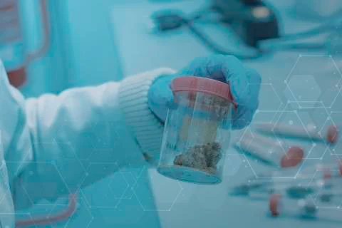 Soil sample laboratory testing and examination 스톡 사진