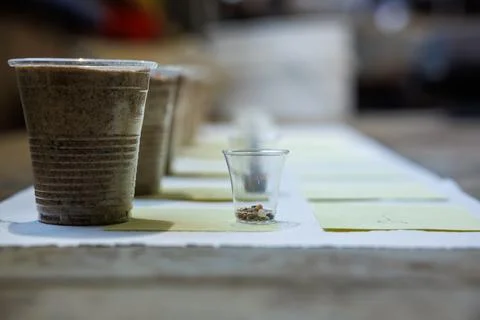 Soil sample study setup with cups, pebbles, and granules indoors Stock Photos