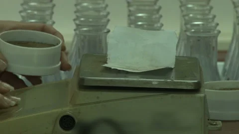 Soil samples for testing in the laboratory. Video stock 153815544