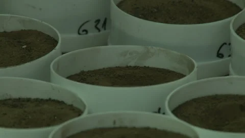 Soil samples for testing in the laboratory. Video stock 153819671