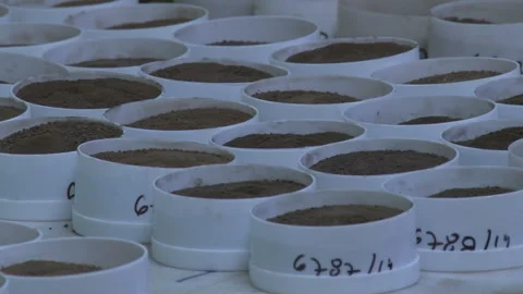 Soil samples for testing in the laboratory. Video stock 154475043