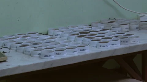 Soil samples for testing in the laboratory. Video stock 154475334