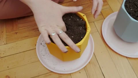 Soil in seedling trays Stock Footage 175230526