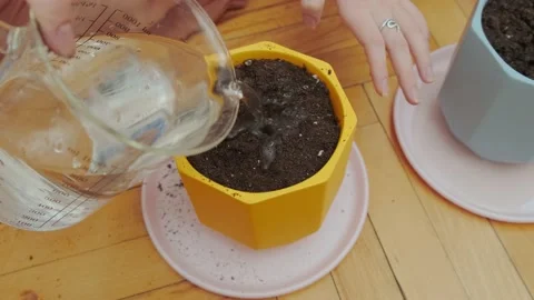 Soil in seedling trays 動画素材 175231673
