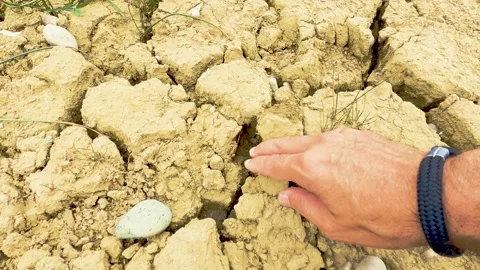 Soil shrinkage due to climate warming 動画素材 247143036