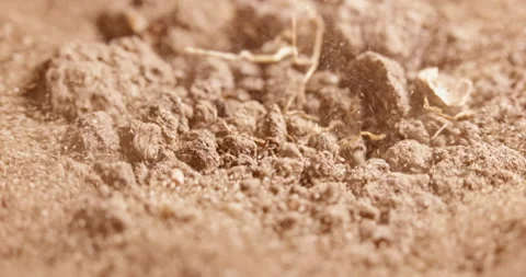 Soil stirring up while earthquake Stock Footage 167476258