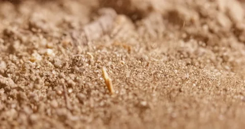 Soil stirring up while earthquake Stock Footage 168029866